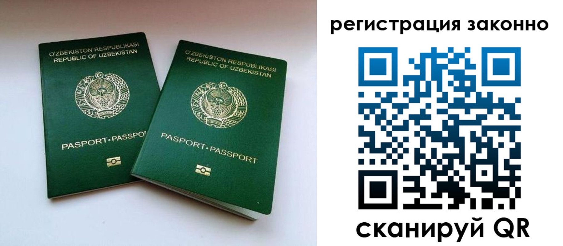 прописка гарантия в Ефремове